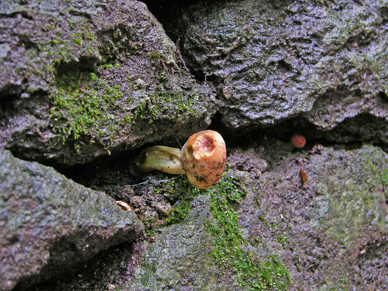 Risposte griglia 2 (marted� 29 maggio)